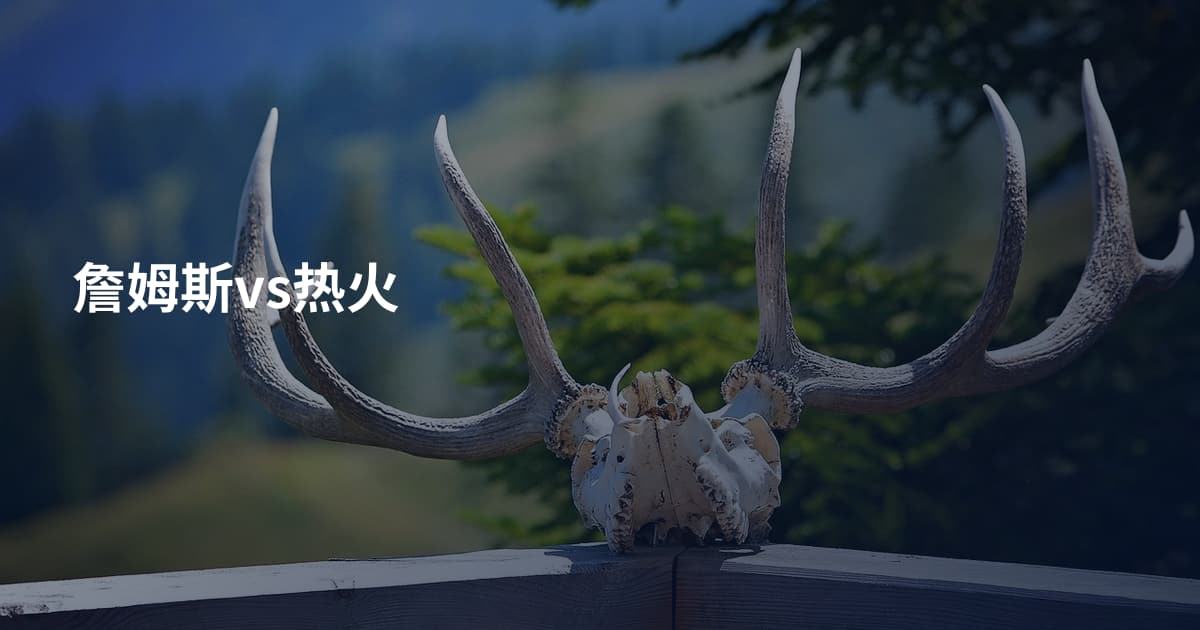詹姆斯vs热火