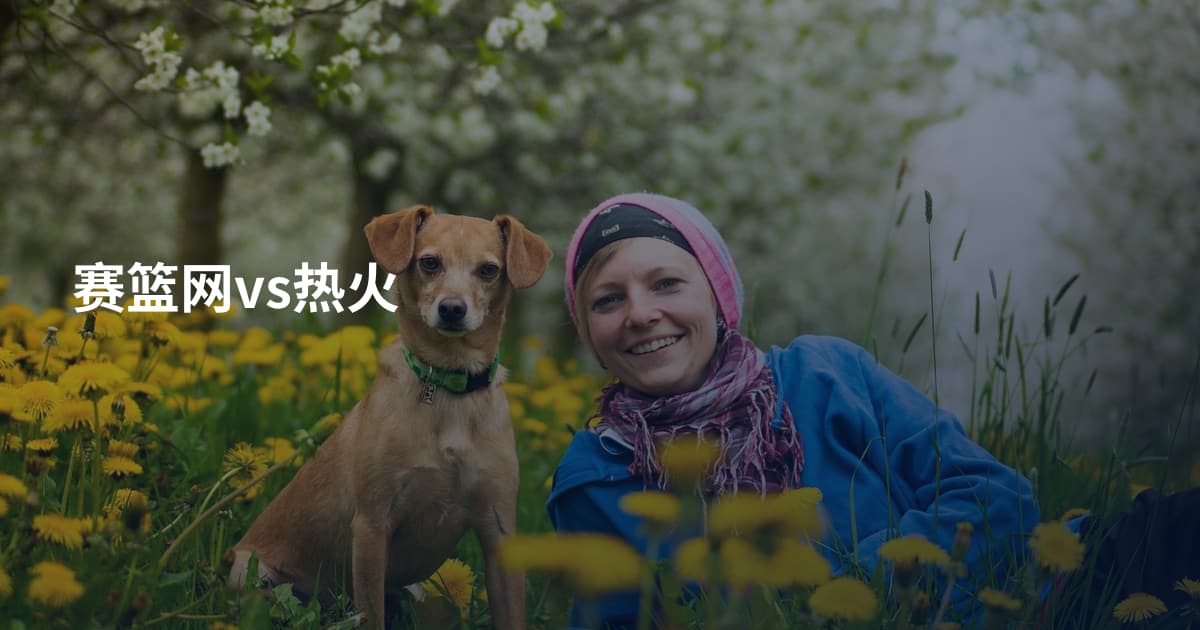 赛篮网vs热火