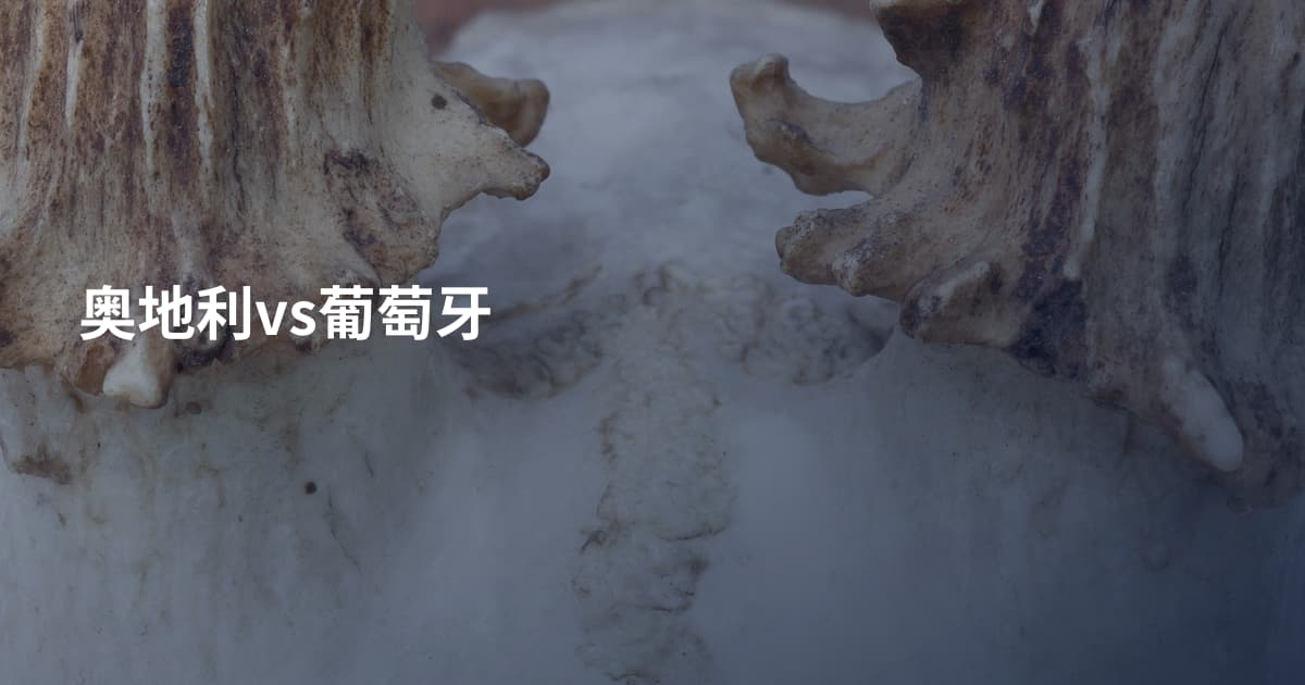 奥地利vs葡萄牙