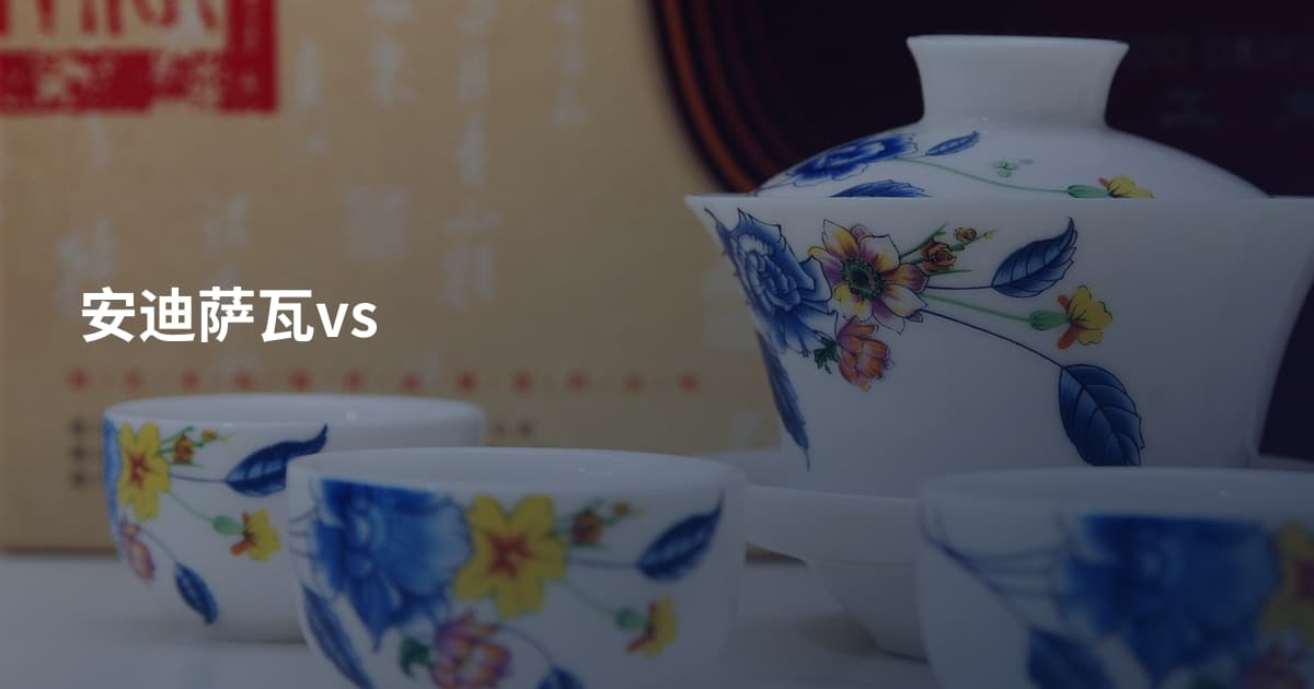 安迪萨瓦vs