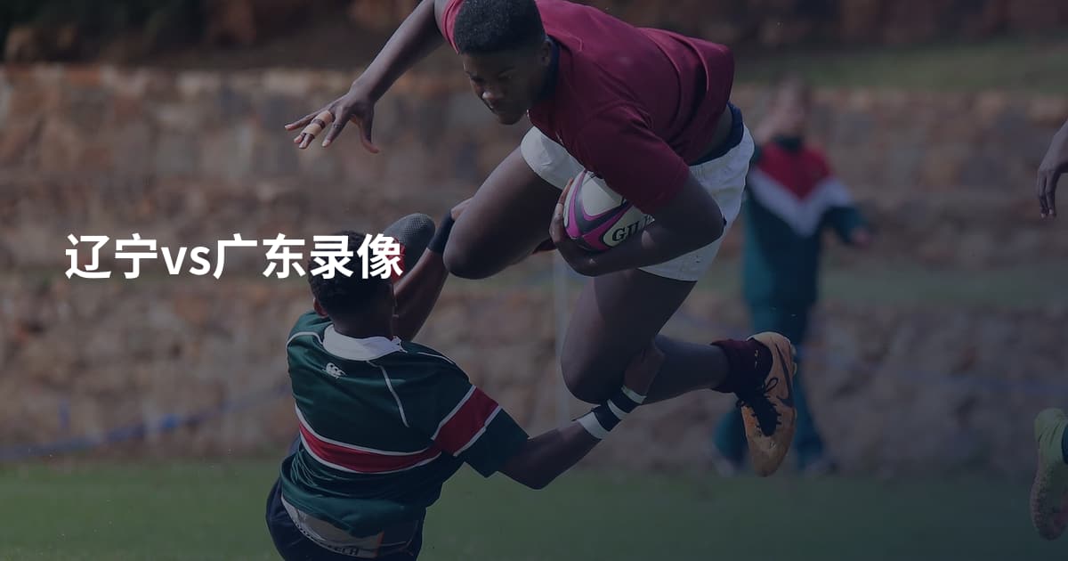 辽宁vs广东录像