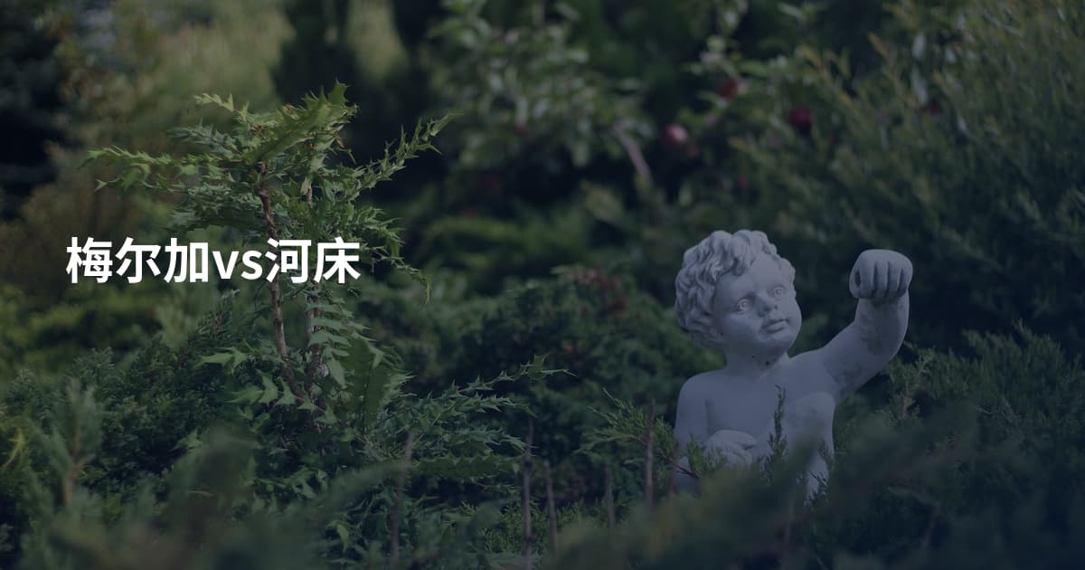 梅尔加vs河床