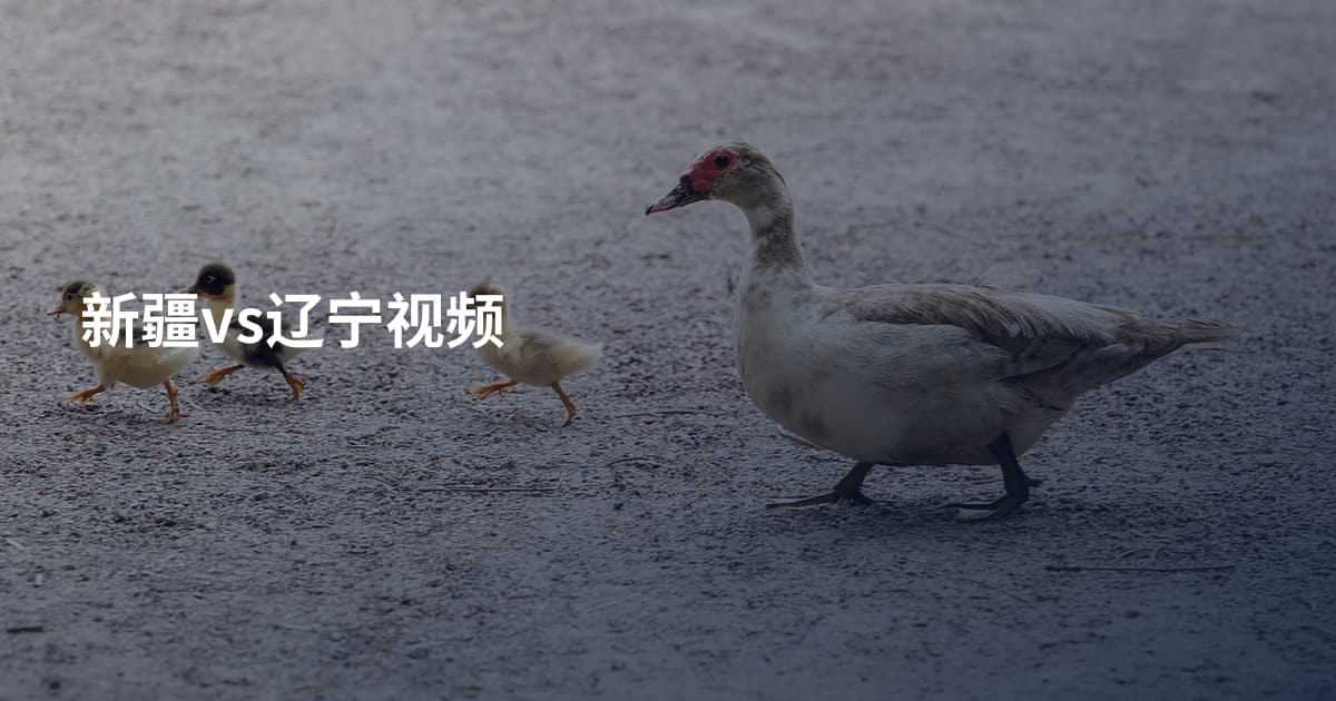 新疆vs辽宁视频