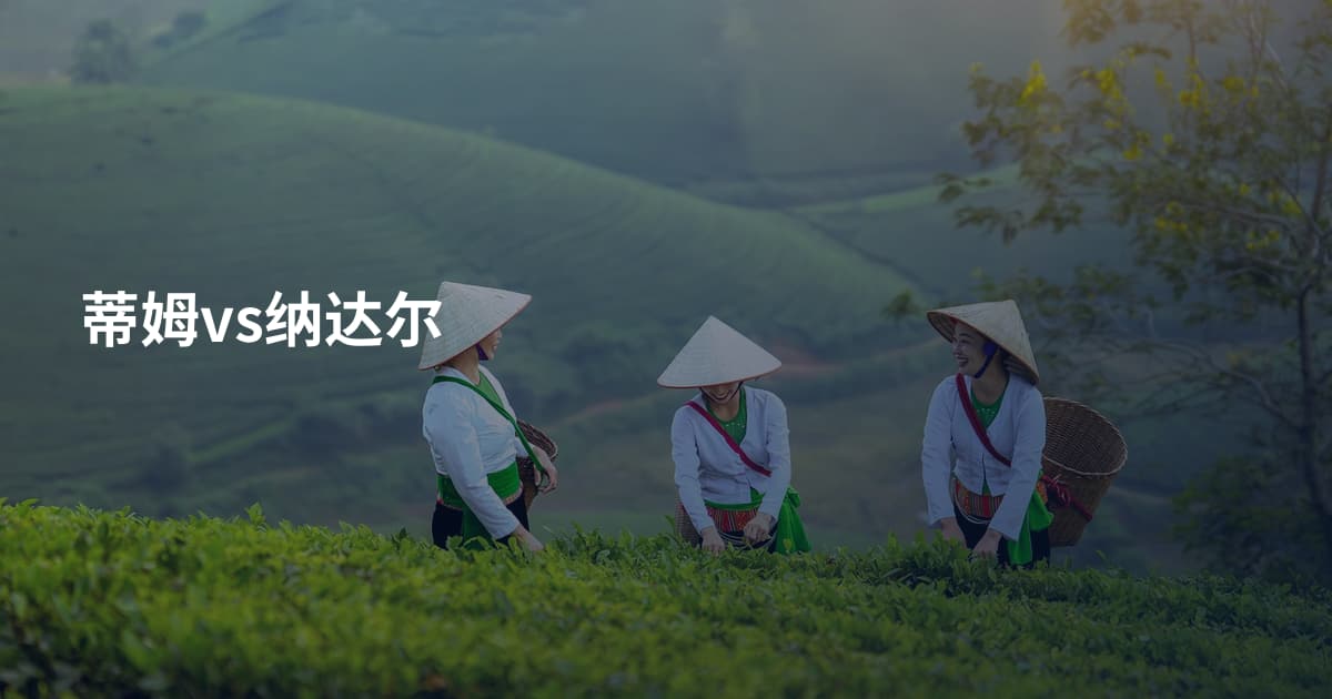 蒂姆vs纳达尔
