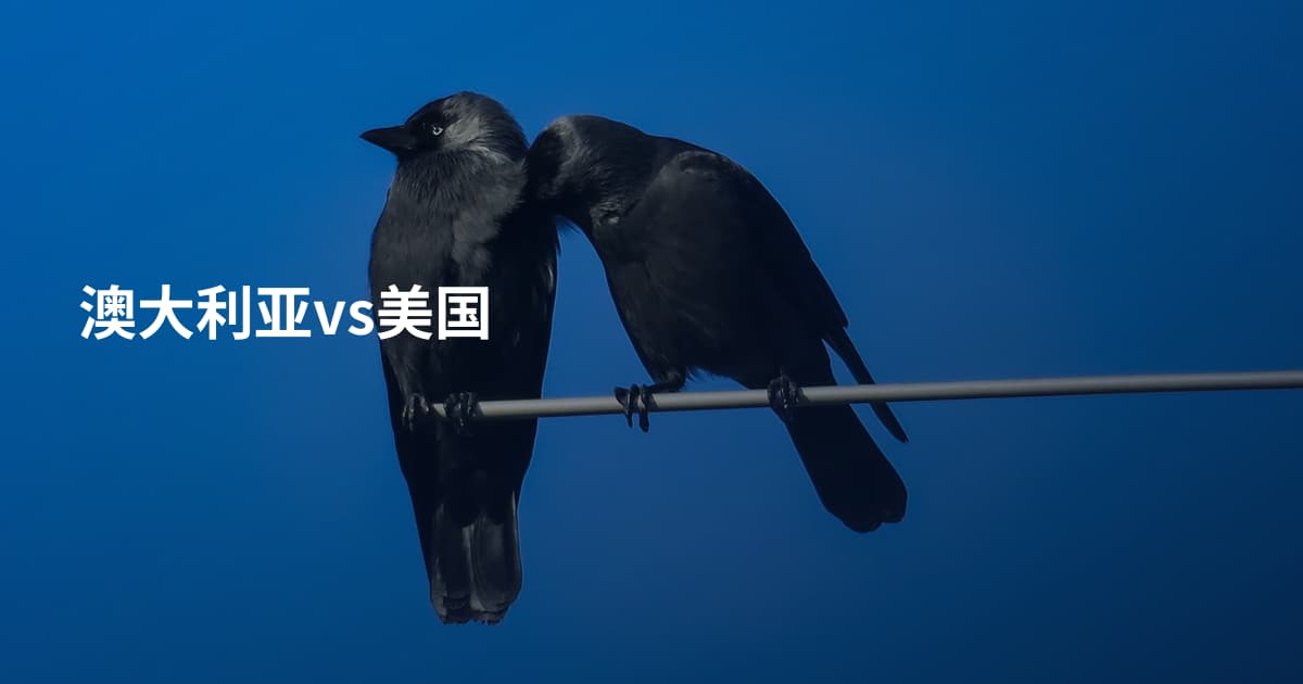 澳大利亚vs美国