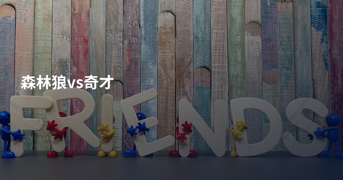森林狼vs奇才
