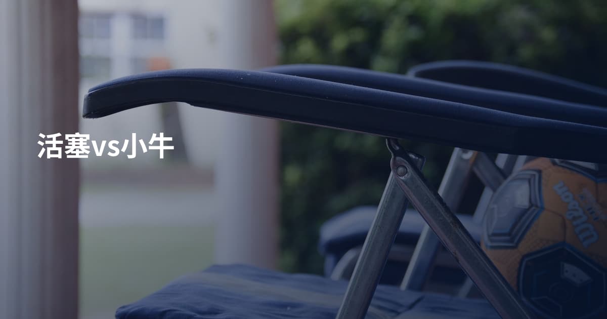 活塞vs小牛