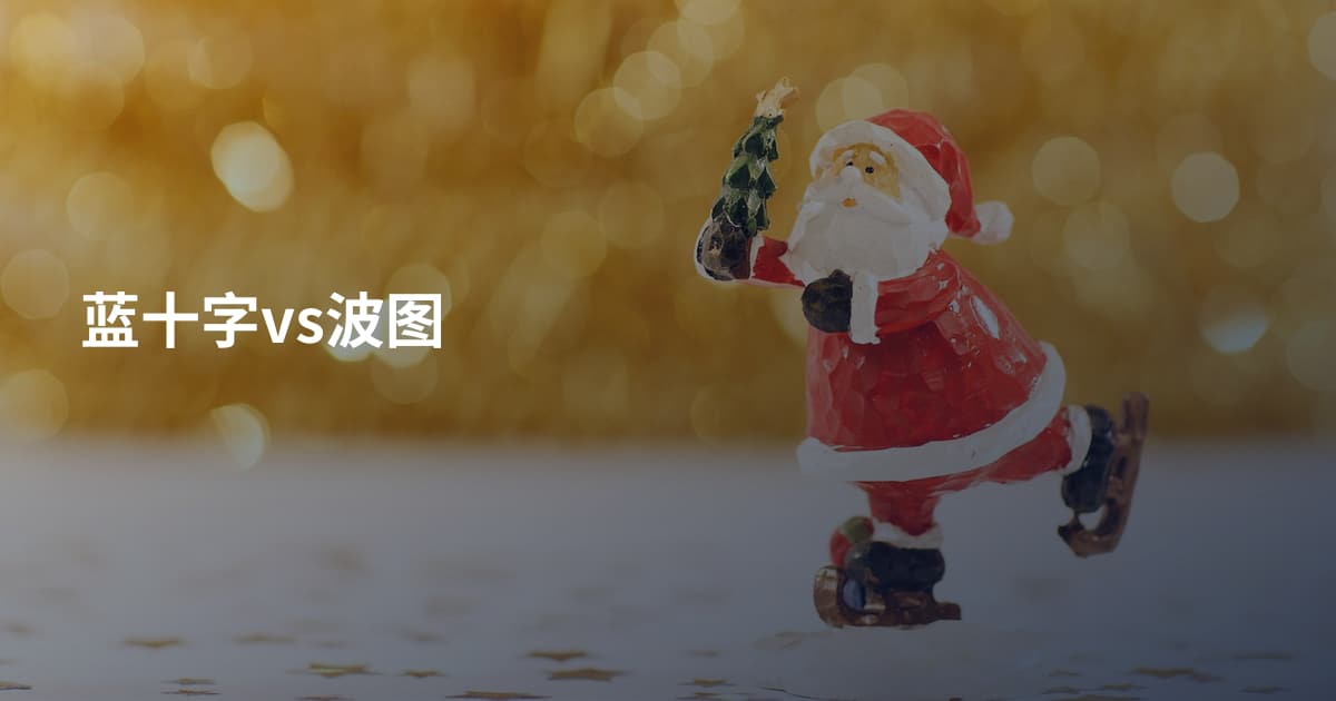 蓝十字vs波图