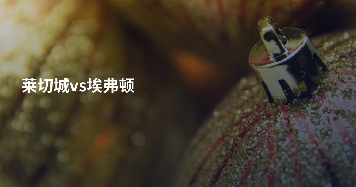 莱切城vs埃弗顿