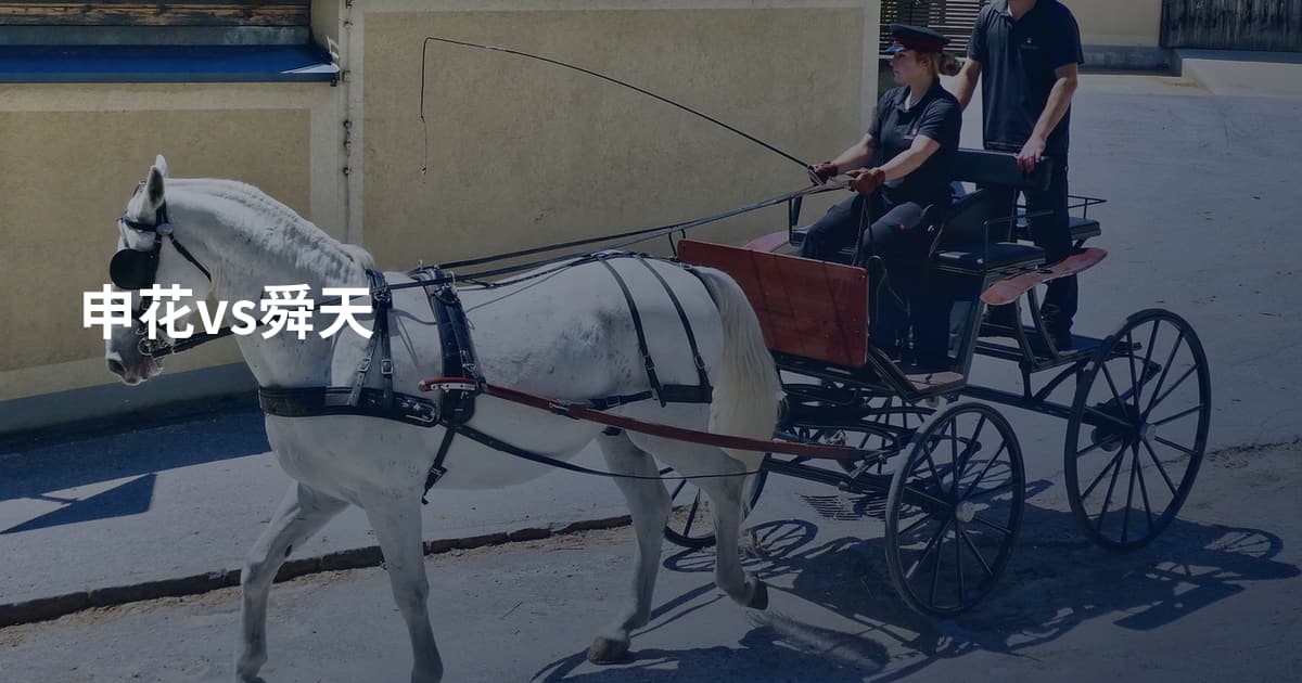 申花vs舜天