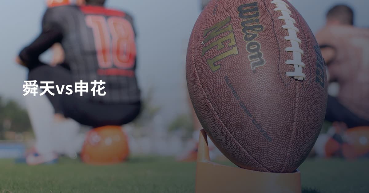 舜天vs申花