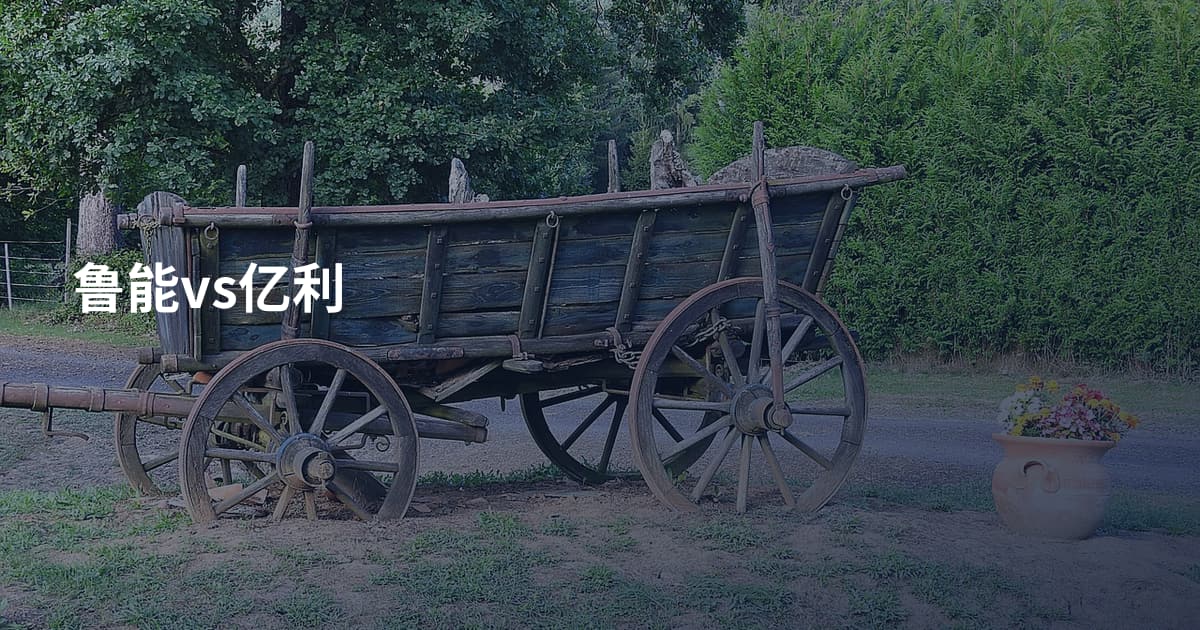 鲁能vs亿利