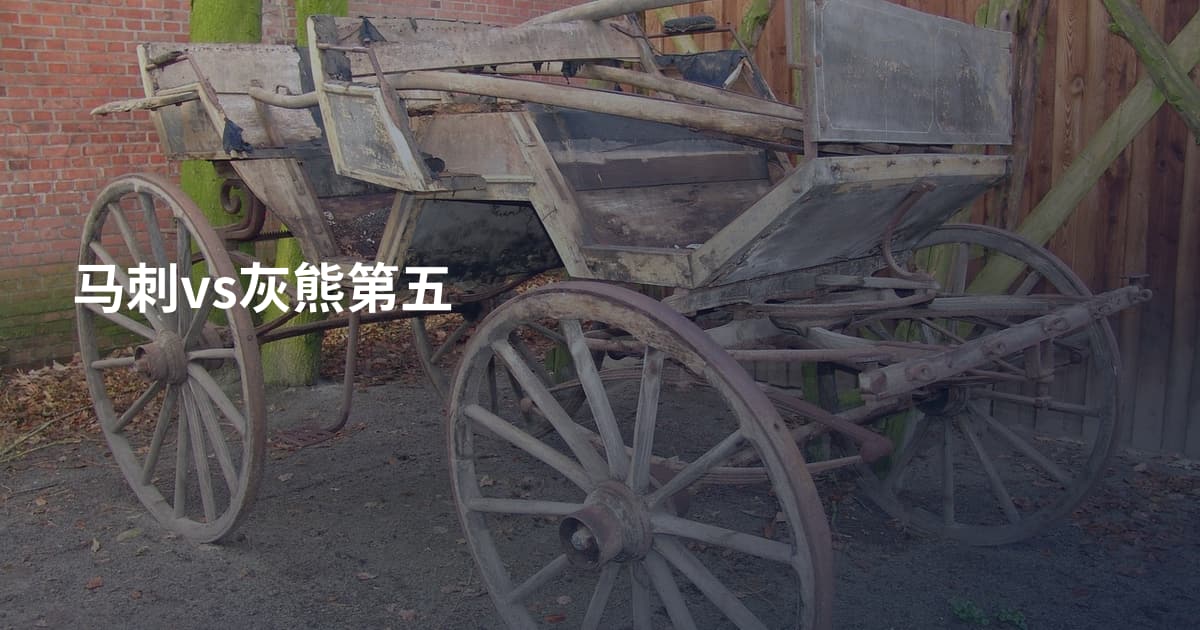 马刺vs灰熊第五