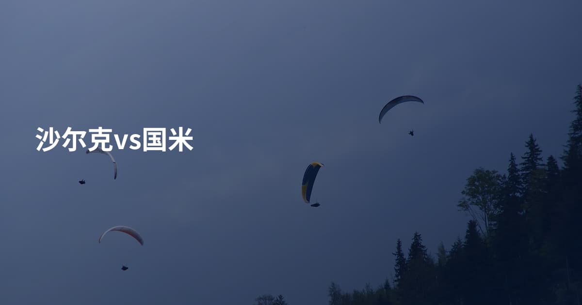 沙尔克vs国米
