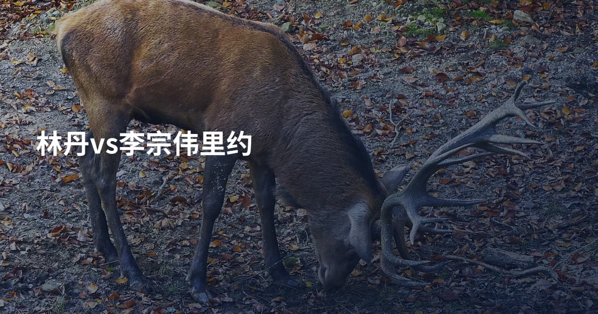 林丹vs李宗伟里约