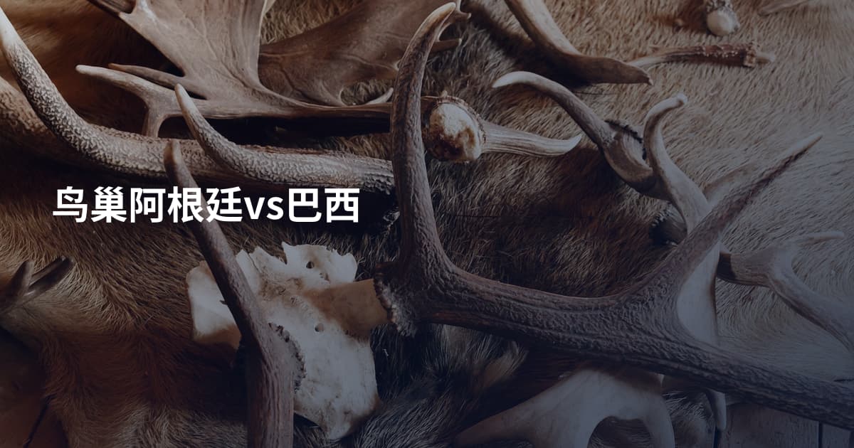 鸟巢阿根廷vs巴西