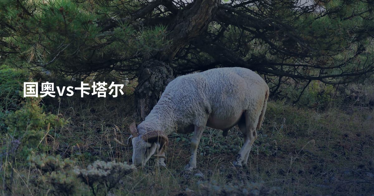 国奥vs卡塔尔