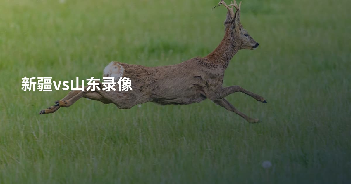 新疆vs山东录像