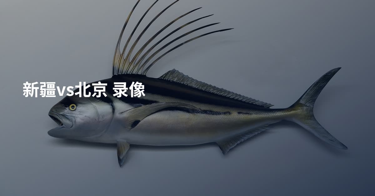 新疆vs北京 录像