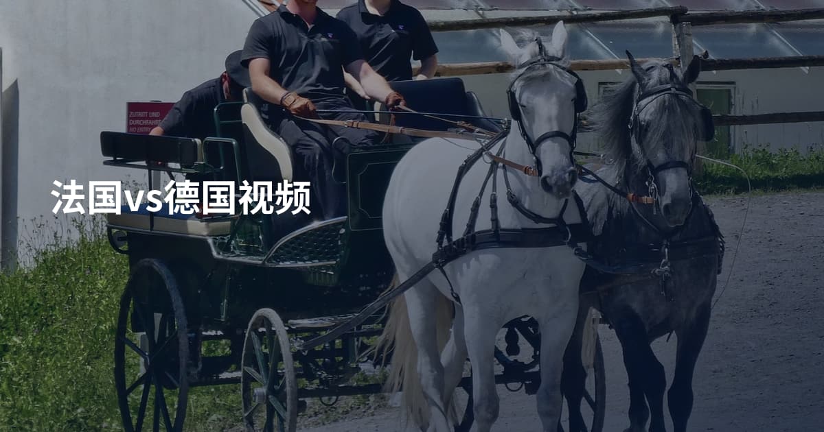 法国vs德国视频