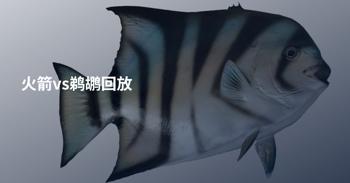 火箭vs鹈鹕回放