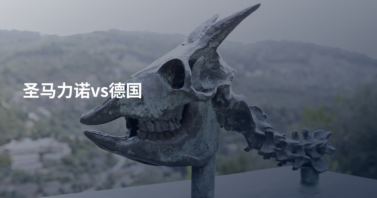 圣马力诺vs德国