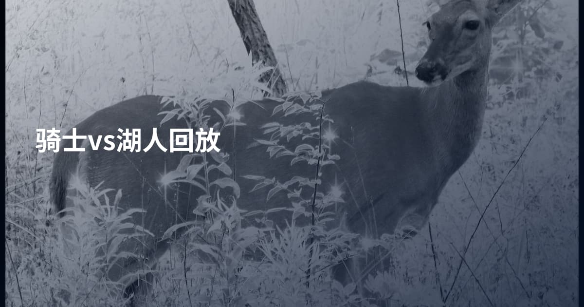 骑士vs湖人回放