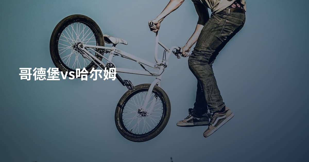 哥德堡vs哈尔姆