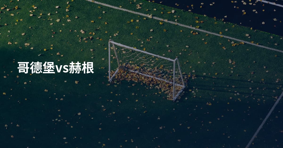 哥德堡vs赫根