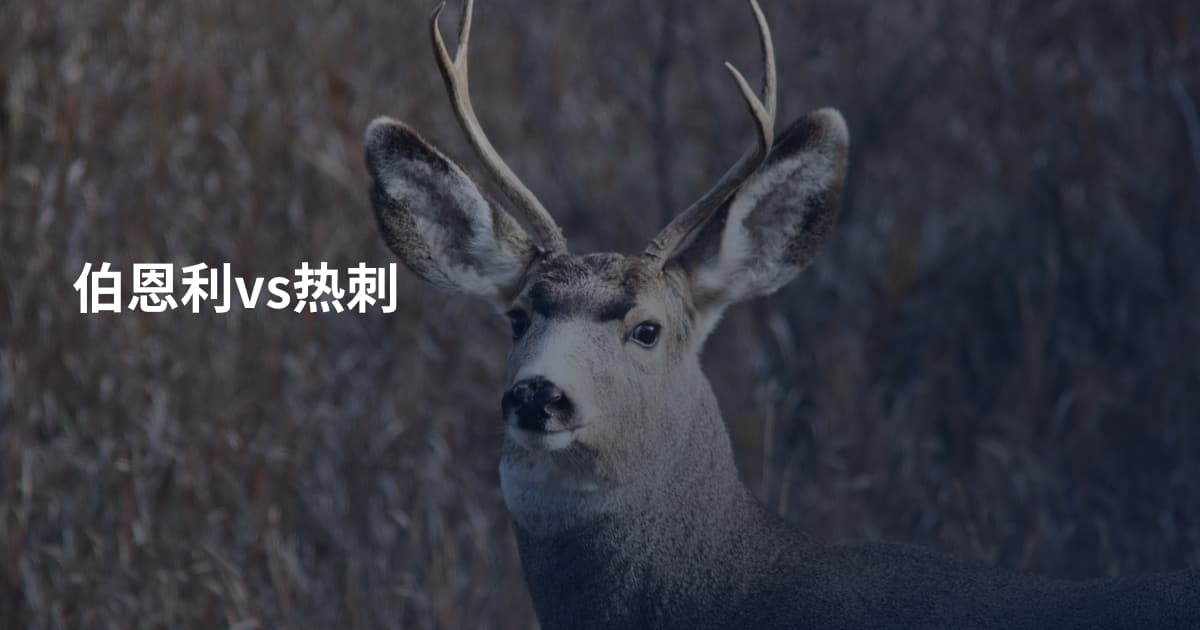 伯恩利vs热刺