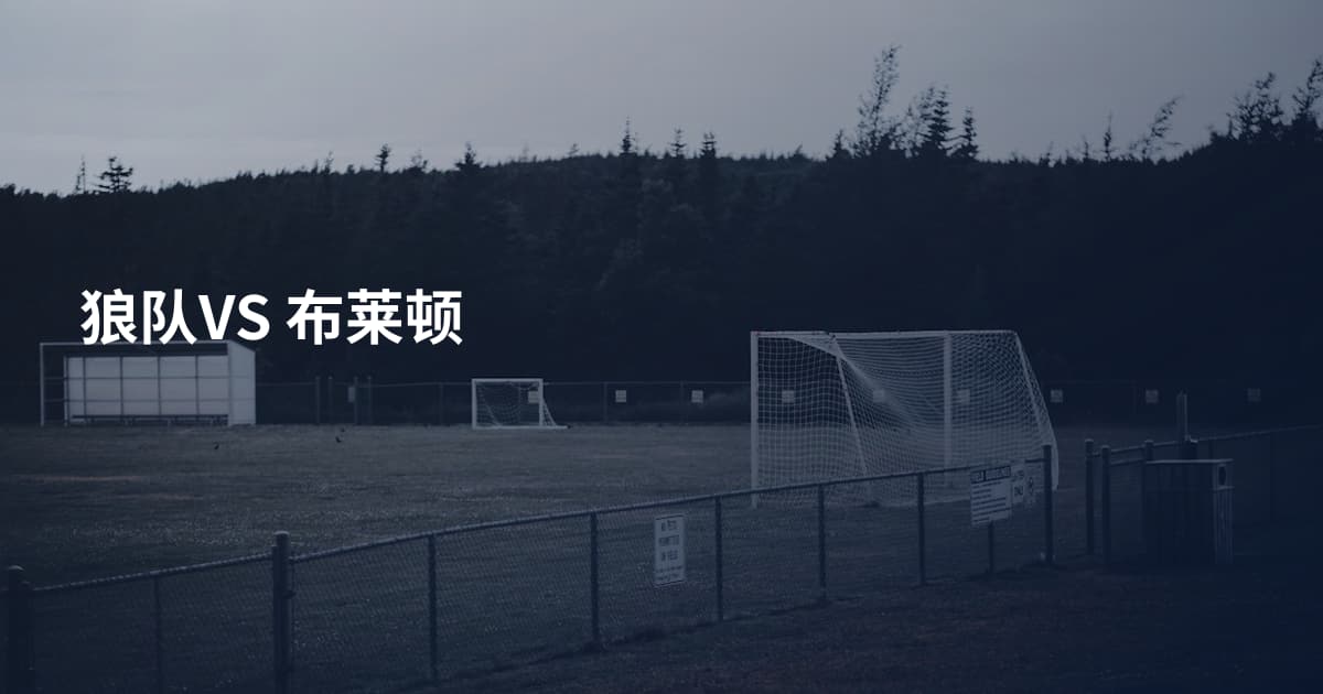 狼队VS 布莱顿
