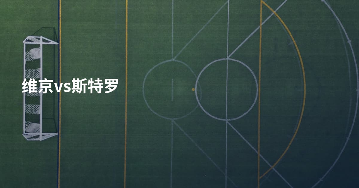 维京vs斯特罗