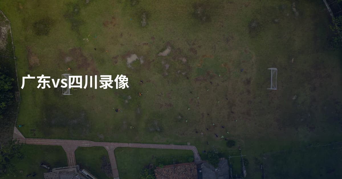 广东vs四川录像