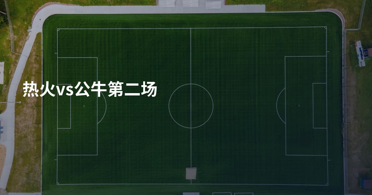 热火vs公牛第二场