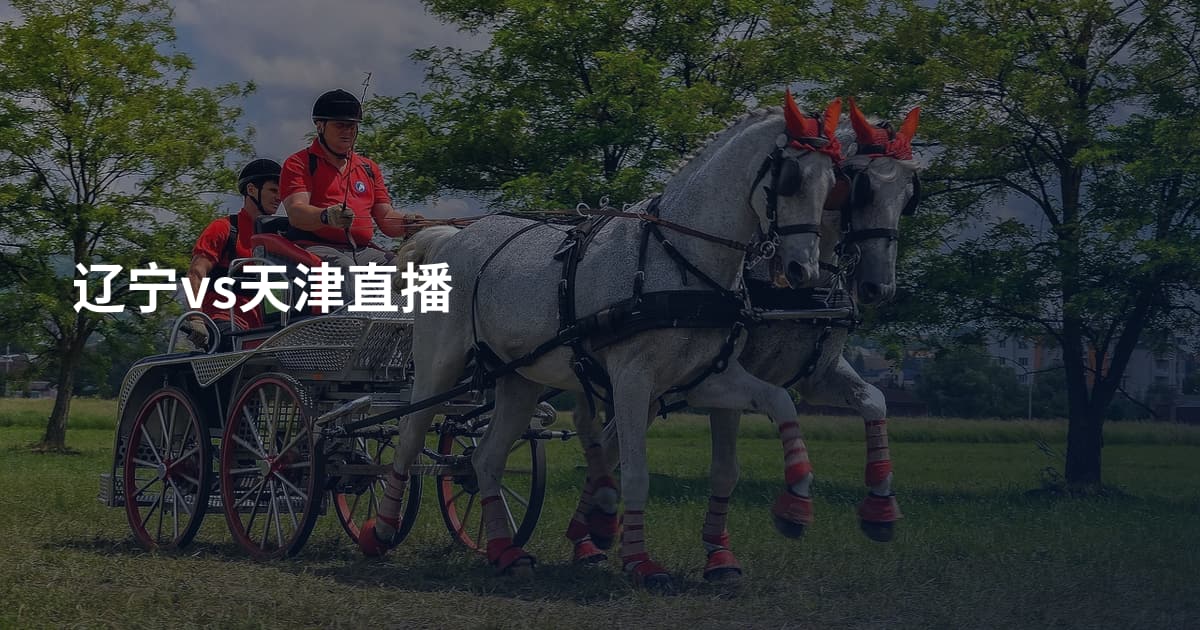 辽宁vs天津直播