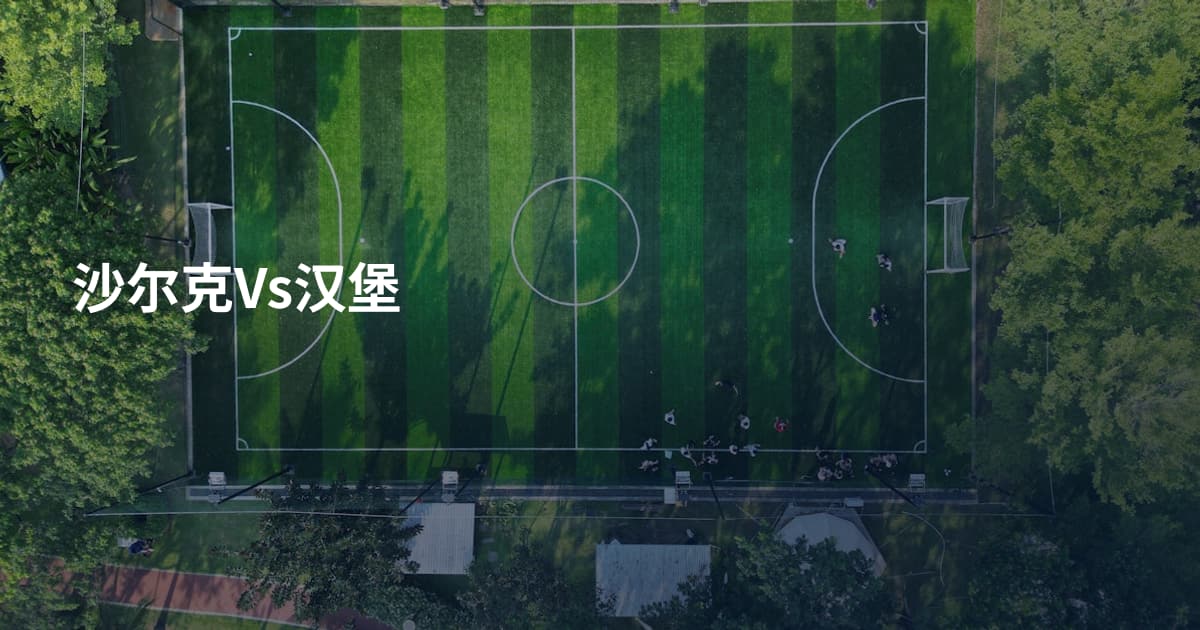 沙尔克Vs汉堡