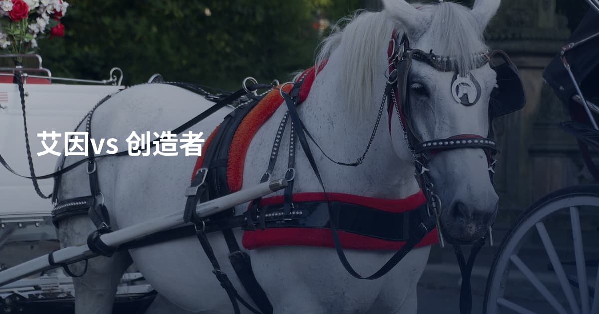 艾因vs 创造者