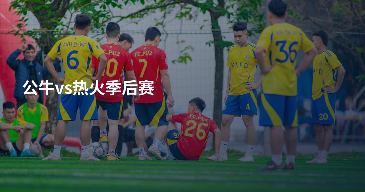 公牛vs热火季后赛