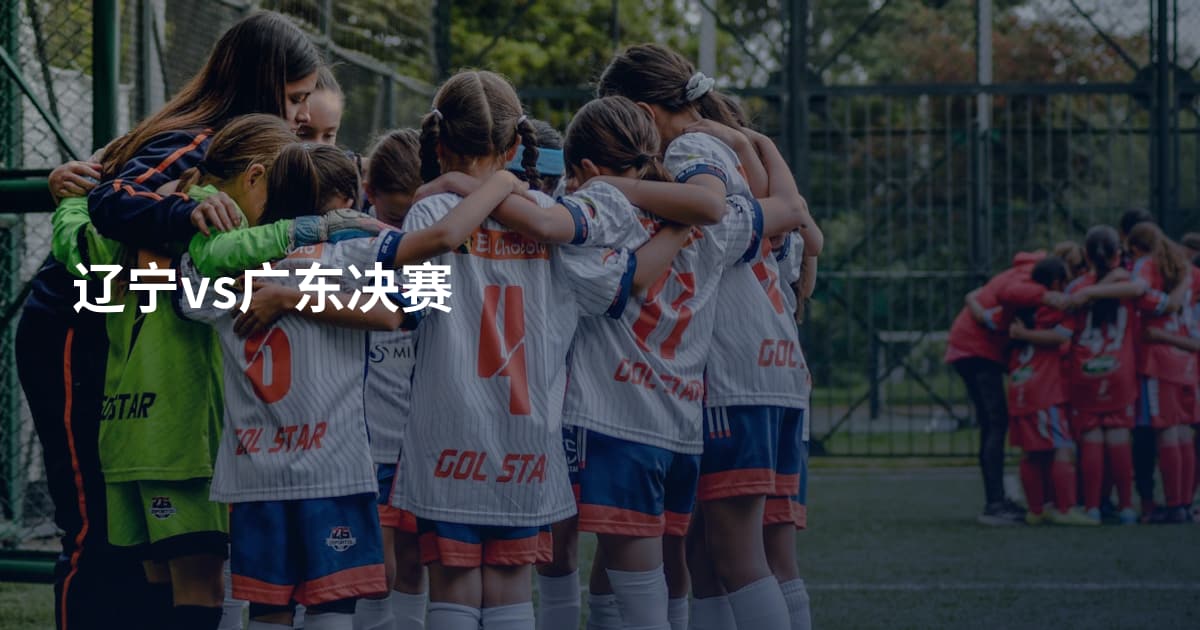 辽宁vs广东决赛
