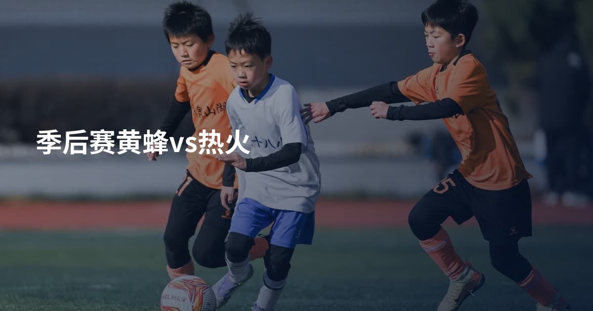 季后赛黄蜂vs热火