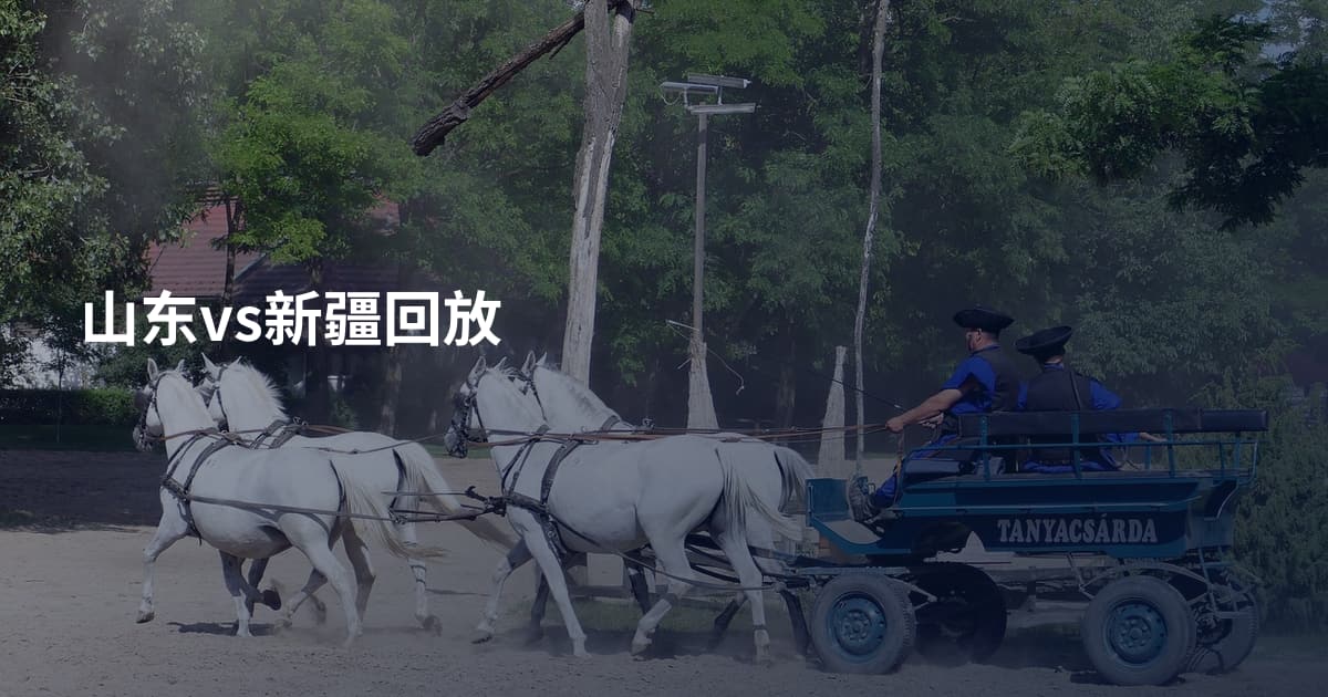 山东vs新疆回放