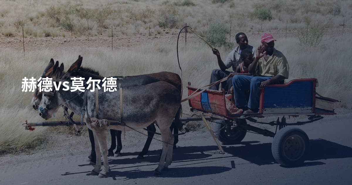 赫德vs莫尔德