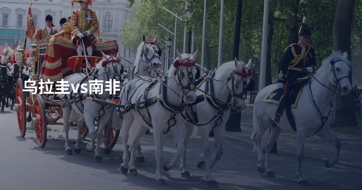 乌拉圭vs南非