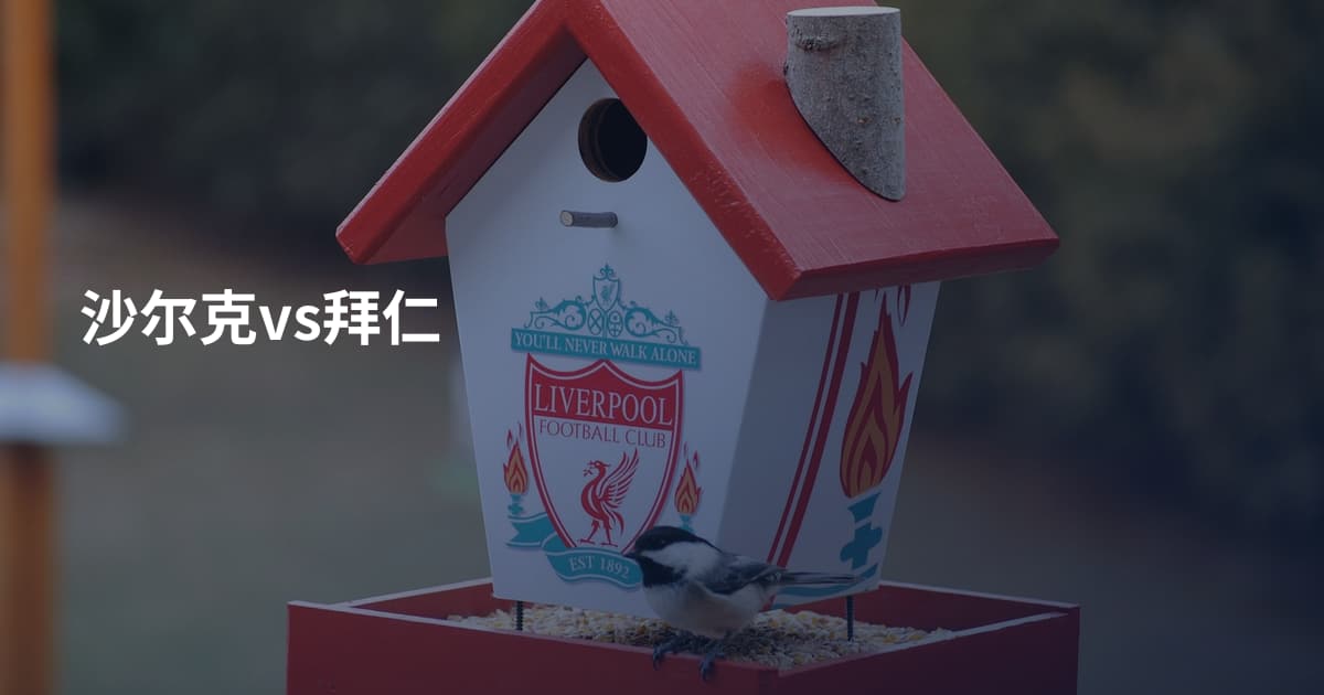 沙尔克vs拜仁