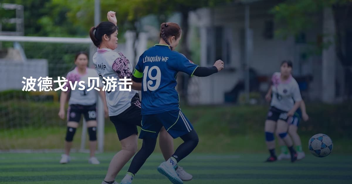 波德戈vs贝游击