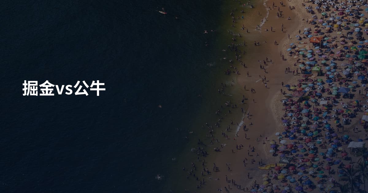 掘金vs公牛