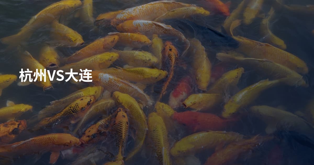 杭州VS大连