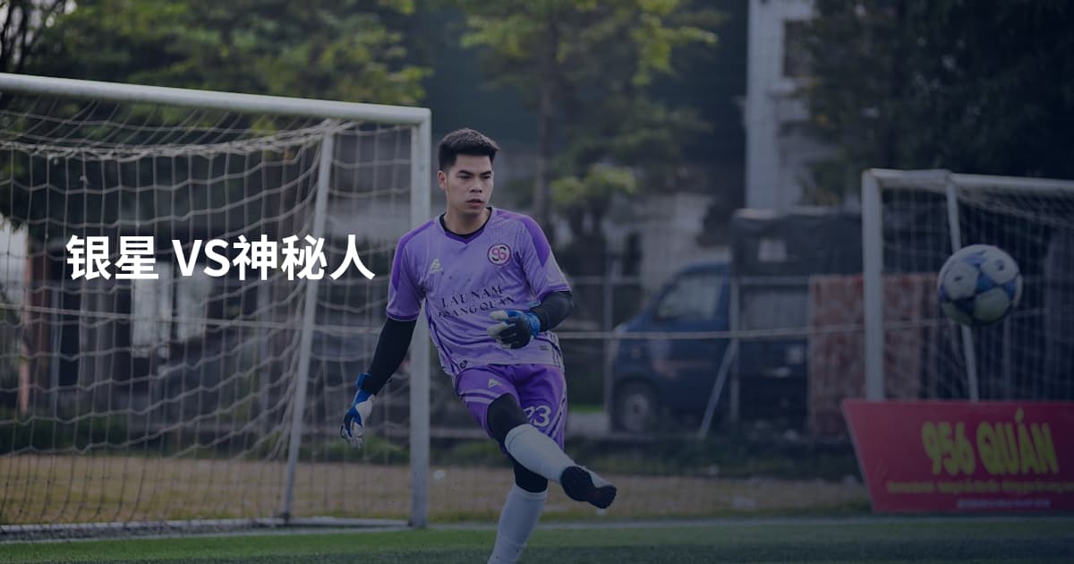 银星 VS神秘人