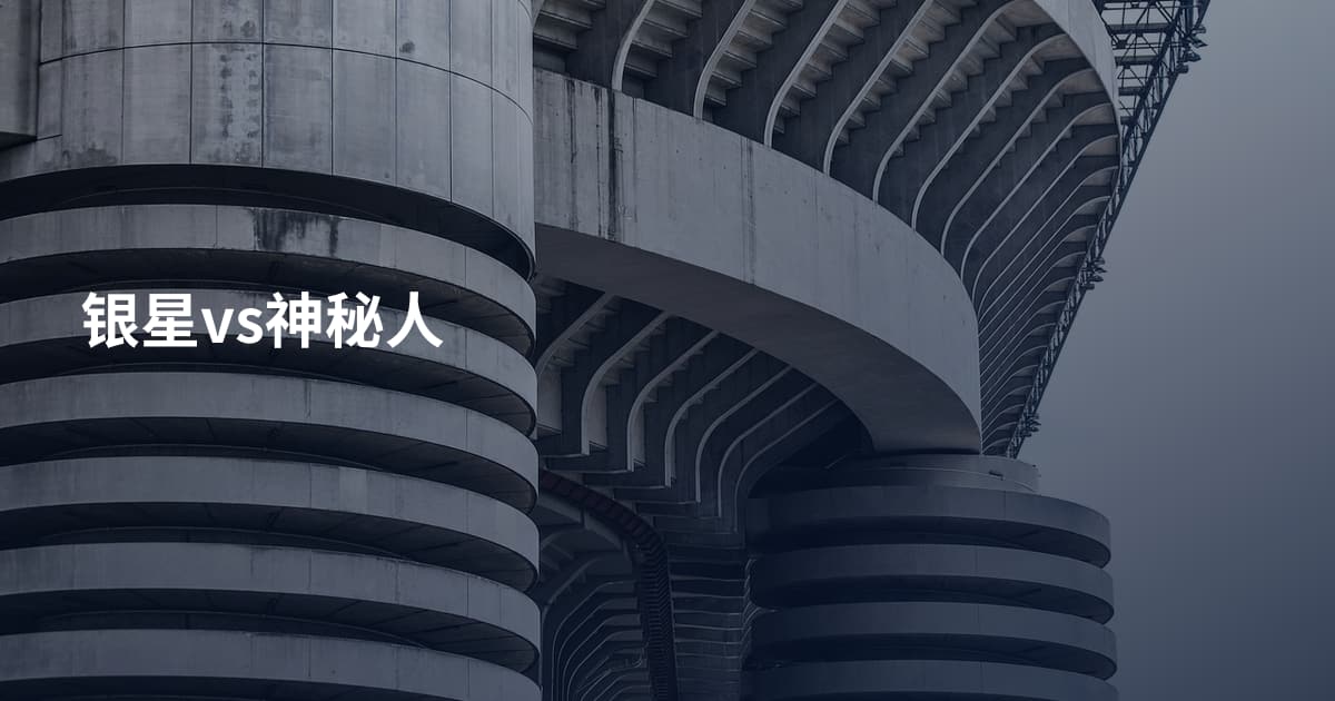 银星vs神秘人