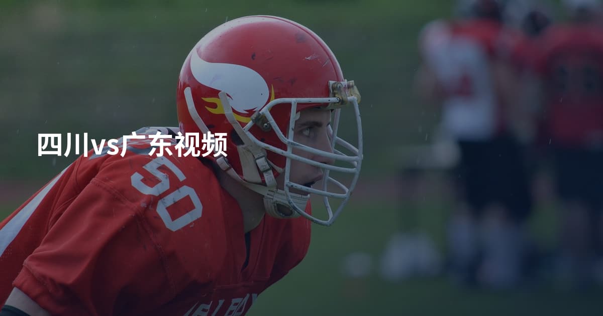 四川vs广东视频